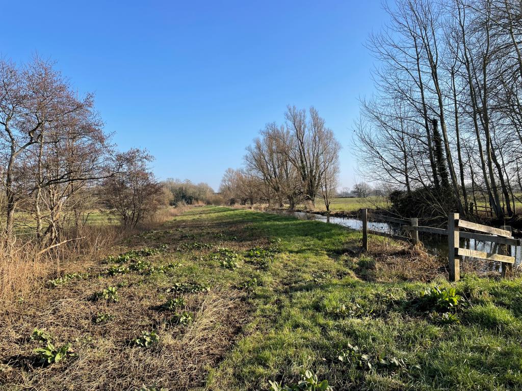 Lot: 137 - APPROXIMATELY EIGHT ACRES OF LAND WITH RIVER FRONTAGE - 